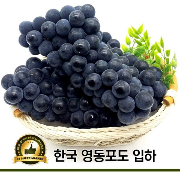 2c8d84cb436f3e0e4a9ab2f6933a896d_1635529231_3559.jpg